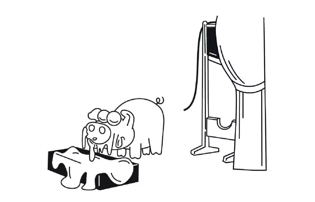 The image shows a cartoon depiction of a pig with two small pigs sitting on its back, standing next to an open suitcase, with a human figure holding a camera.